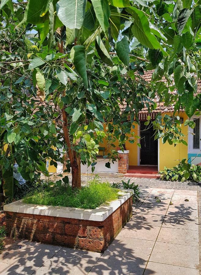 Design Ashram Hostel Kozhikode Exterior photo